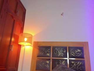 melany-riccii webcam model stream image