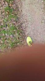 Chicoo20155 webcam cam4 model stream image