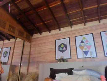 AriaFoster webcam model stream image