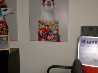 Marshall Sin webcam flirt4free model stream image