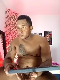 ARTHUR_MINI webcam model stream image