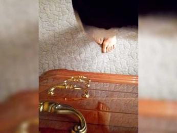 Avrora09 webcam model stream image