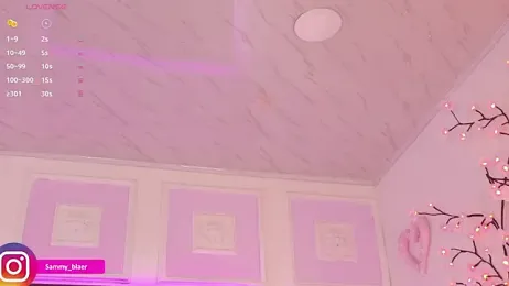 Sammyblaer webcam model stream image