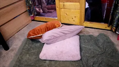 LittleMe97 webcam stripchat model stream image