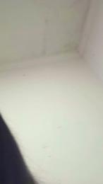 Katalehia webcam model stream image