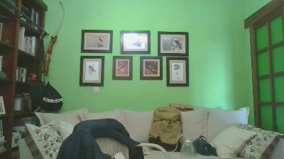 nacha8888 webcam model stream image