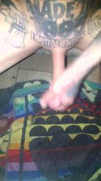 Grey25cm webcam model stream image