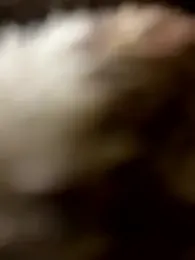 LOVE4GIRL webcam model stream image