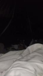 Petitebombe34 webcam cam4 model stream image