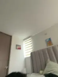 anli5 webcam model stream image