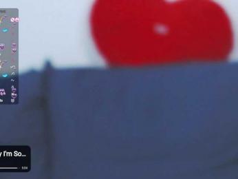 -Lorik- webcam model stream image