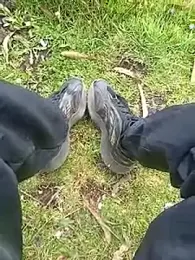 Cuervo_maniaco webcam model stream image