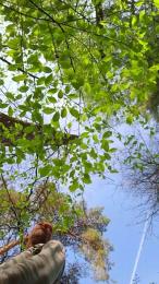 Jan_uncensored webcam cam4 model stream image