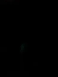 MetaDaddy webcam model stream image