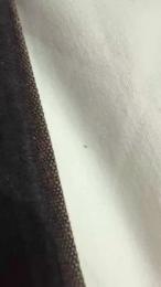 419xx webcam model stream image