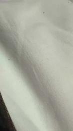 419xx webcam model stream image