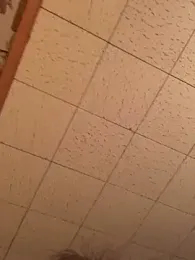 Tonybaloney1972 webcam stripchat model stream image