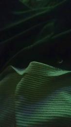 Poyon335 webcam cam4 model stream image