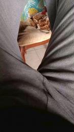 Ercoatto83 webcam model stream image