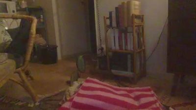 Elillolex webcam cam4 model stream image