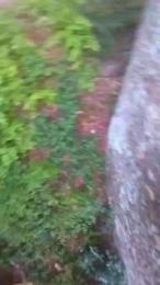 Etoile67moosa webcam model stream image