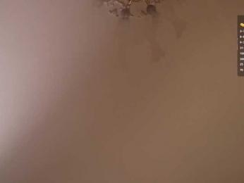 _ILSO_ webcam model stream image