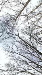 BlueEye_Girl webcam cam4 model stream image