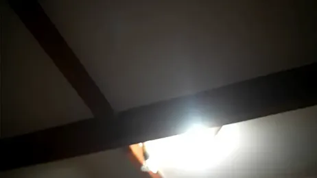 Bellis_Perenis webcam model stream image