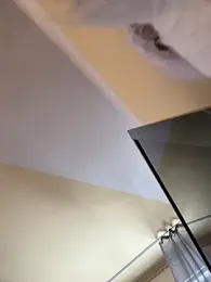 csikar webcam model stream image