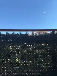 sexylenia webcam model stream image