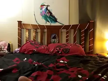 ashlee_james webcam model stream image