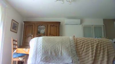 cybear webcam model stream image