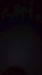 Tucanelita webcam model stream image