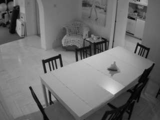 voyeurcam-julmodels-dining webcam model stream image