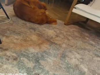 x_lily_x chaturbate stream image, 19.05.2025 20:20