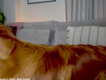 x_lily_x chaturbate stream image, 25.05.2025 21:10