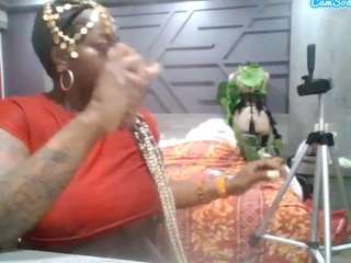 stalliontheesavage camsoda stream image