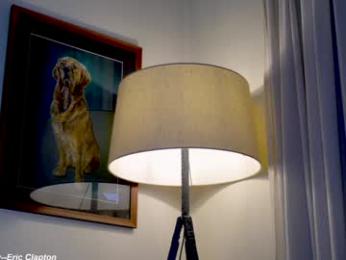 x_lily_x chaturbate stream image, 11.06.2025 21:10