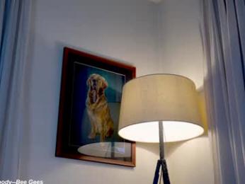 x_lily_x chaturbate stream image, 14.06.2025 22:30
