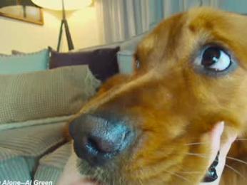 x_lily_x chaturbate stream image, 23.06.2025 18:40