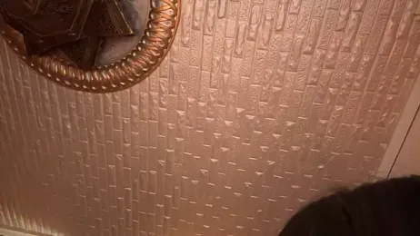 ORLA86 stripchat stream image, 26.06.2025 20:00