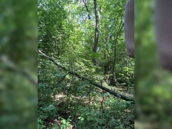 BabyDarii bongacams stream image, 06.07.2025 10:50