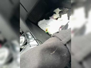 GAVKA_ bongacams stream image