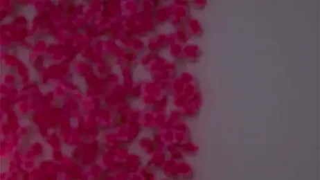 KarinBates stripchat stream image