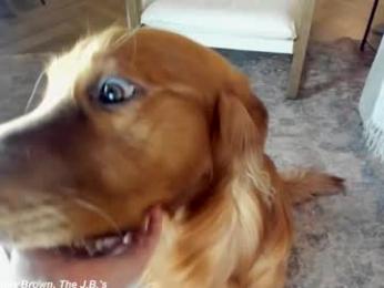 x_lily_x chaturbate stream image, 18.02.2025 23:10