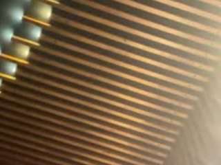 torygrey camsoda stream image, 20.02.2025 22:40