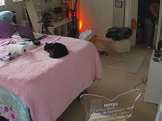 voyeurcam-house-charleys-room camsoda stream image, 15.02.2025 10:20
