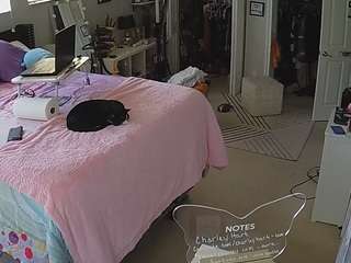 voyeurcam-house-charleys-room camsoda stream image, 15.02.2025 10:20