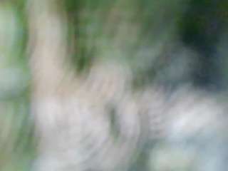 stalliontheesavage camsoda stream image