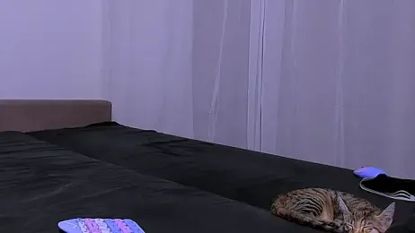 LadyTrep stripchat stream image, 30.11.2025 20:20